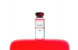 Local Production of COVID 19 Vaccines: A Strategy for Action Local Production of COVID 19 Vaccines: A Strategy for Action