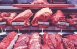 Growing the Future of Food Security: Is In Vitro Meat all Peril and No Promise? Growing the Future of Food Security: Is In Vitro Meat all Peril and No Promise?