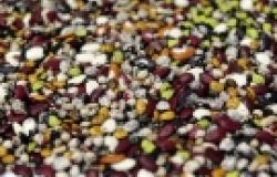 After Svalbard: Why Safety of World Seed Vaults is Crucial to Future Food Security After Svalbard: Why Safety of World Seed Vaults is Crucial to Future Food Securi