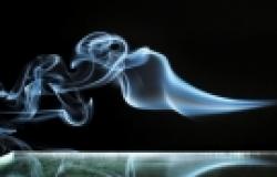 How to Generate Job Growth: Robert Pollin on Alternatives to Trump's Smoke-and-Mirrors Economic Plan How to Generate Job Growth: Robert Pollin on Alternatives to Trump's Smoke-and-M