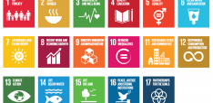 The Future of FDI: Achieving the Sustainable Development Goals 2030 through Impact Investment