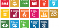 Knowledge and Politics in Setting and Measuring the SDGs: Introduction to Special Issue