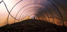 An Evolutionary Perspective on the Implementation of the United Nations Sustainable Development Goals