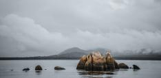 Radical Reform of the International Investment Treaty Regime: A Role for Climate Clubs?