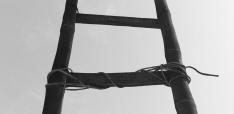 Rebuilding the Ladder? Contemporary Contests Over Industrial Policy