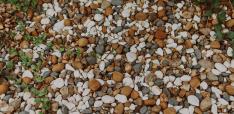 https://www.pexels.com/photo/pebbles-and-wild-plants-on-the-ground-14853752/