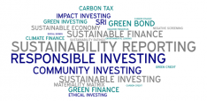 Sustainable finance: the rise of the “E” in ESG