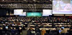 On thin ice: The Post-2020 Global Biodiversity Framework negotiations at COP15