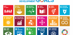 GELI Stories – How to get Early Childhood Development into the SDGs (with a bit of help from Shakira)