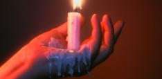 The Humanities: A Few Words about Survival 
