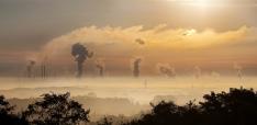 Carbon credits are distorting markets and destroying local businesses