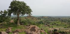 Glimmers of Confidence in Pibor, South Sudan – where the Triple Nexus Grows Unscripted