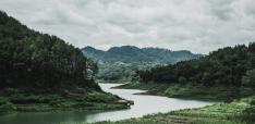 The Case for Strengthening Indonesia–UAE Relations Through the Tropical Forest Forever Facility (TFFF)