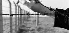No “Nice-to-Have”: European Support to Critical Civil Society and Free Media