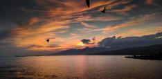 Beyond Independence or Submission: A Third Path for the Taiwan Strait