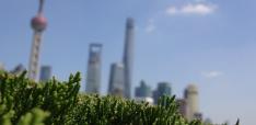 What Would It Take for China to Be a Global Environmental Leader?