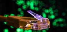 The Digital Industries: Transparency as Mass Deception