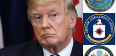 American Policy Dissonance on the 2017 Gulf Crisis