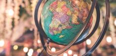 The Pandemic and the Global Environment: Which Way Next?