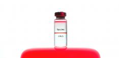 Local Production of COVID 19 Vaccines: A Strategy for Action