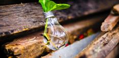 From Green Growth to Degrowth