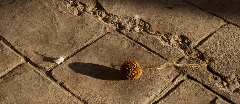 Image credit: ricardo lago Acuña Ditzel via Flickr (CC BY-SA 2.0)