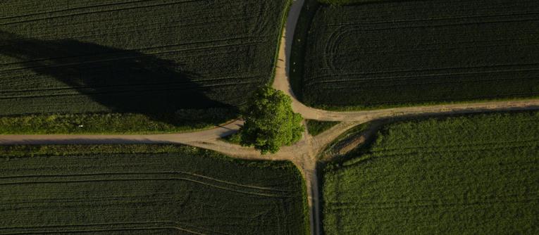 Multilateralism at a Crossroads: Reimagining Cooperation in a Fragmented World