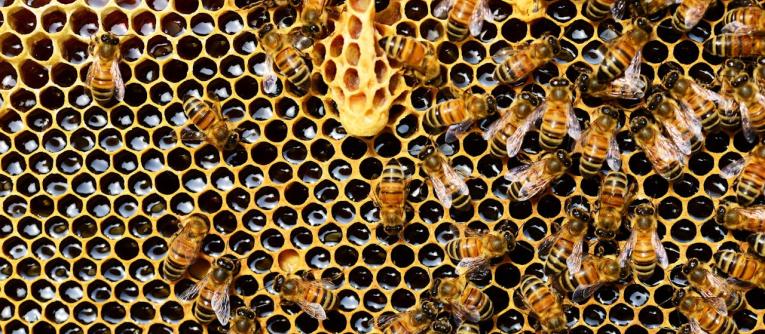 Denying vs Affirming Interdependence