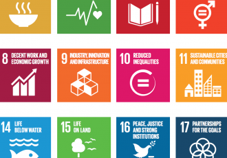 The Future of FDI: Achieving the Sustainable Development Goals 2030 through Impact Investment