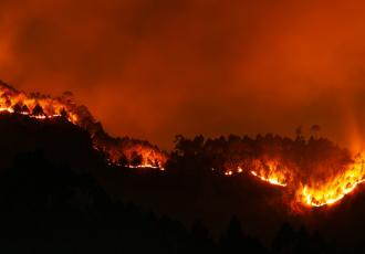 Causality and the fate of climate litigation: The role of the social superstructure narrative