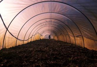 An Evolutionary Perspective on the Implementation of the United Nations Sustainable Development Goals