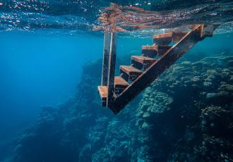 Private Network Realignment: State Strategies Versus Market-Driven Globalization in the Subsea Cable Network