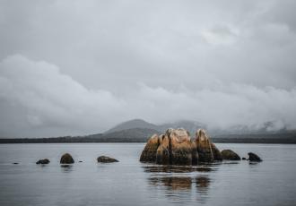 Radical Reform of the International Investment Treaty Regime: A Role for Climate Clubs?