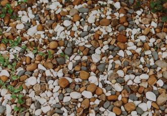 https://www.pexels.com/photo/pebbles-and-wild-plants-on-the-ground-14853752/