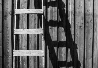 Managerialism and the Changing Politics of Inclusion