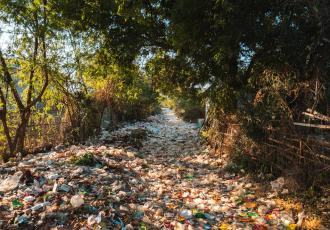 The Trojan Horse of Hybrid Governance: Corporate Power and Global Plastics Governance