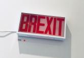 Brexit Disaster Narrative: Whose Interest Does it Serve?