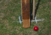 Everton Weekes: Cricket, Culture and the Struggle for Change