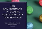 The Environment in Global Sustainability Governance: Perceptions, Actors, Innovations 