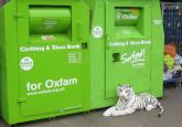 What’s to be done with Oxfam?