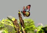 Artificial Intelligence: decoupling growth from planetary limits?