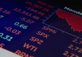 The Stock Market Fetish