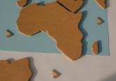 America, First in Africa? - How and Why Badmouthing China in Africa did not Profit the U.S. under Trump 1.0