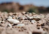 What does the Post-Aid Era mean for Development? 