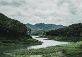 The Case for Strengthening Indonesia–UAE Relations Through the Tropical Forest Forever Facility (TFFF)