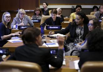 Absent or Invisible? Women Mediators and the United Nations