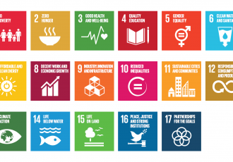 The Future of FDI: Achieving the Sustainable Development Goals 2030 through Impact Investment