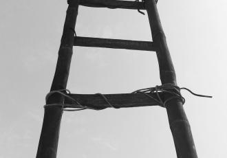 Rebuilding the Ladder? Contemporary Contests Over Industrial Policy