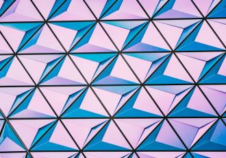 Rationality Patterns in Export Promotion Organizations