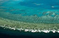 Australia, Climate Change and the Great Barrier Reef Australia, Climate Change and the Great Barrier Reef